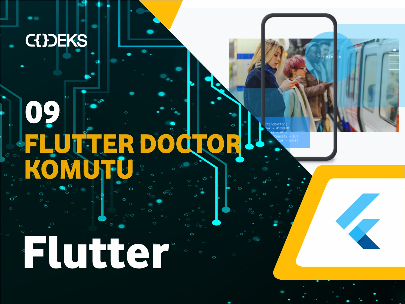 Flutter Doctor Komutu